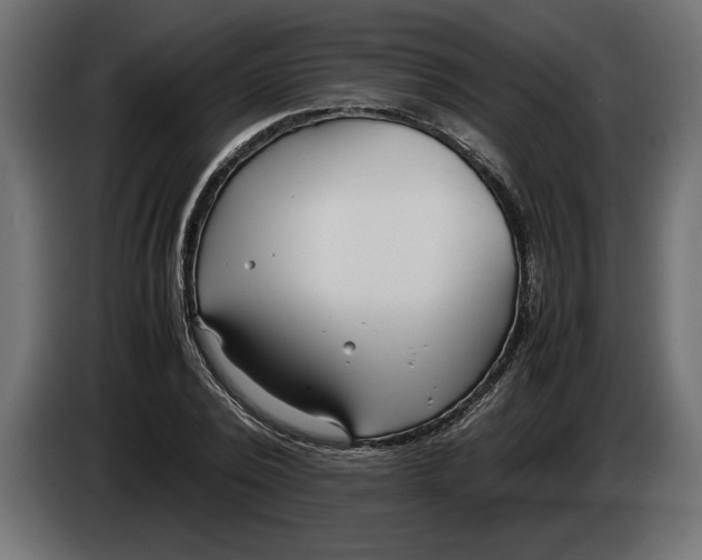 X0000083600784200703021912