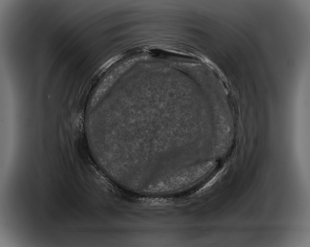 X0000083600785200703021912