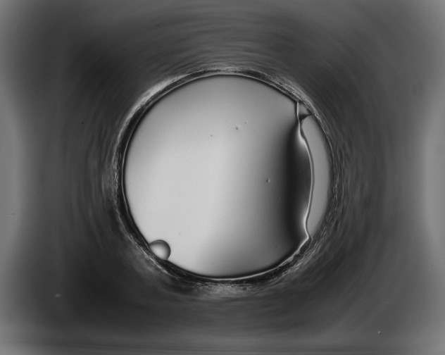 X0000083600787200703021912