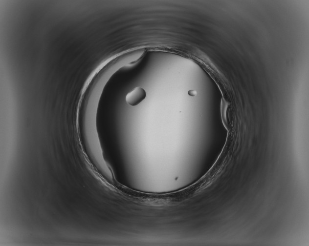 X0000083600788200703021912