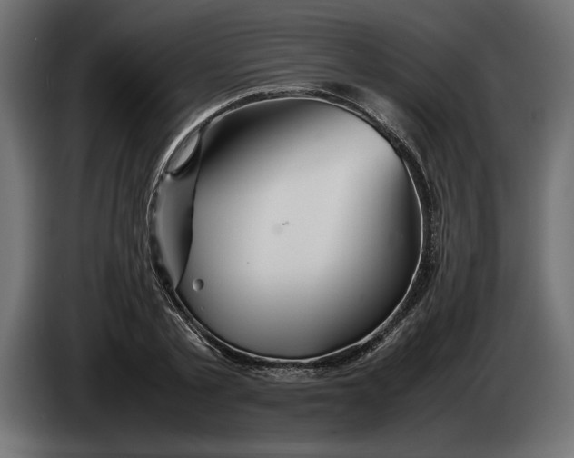 X0000083600789200703021912