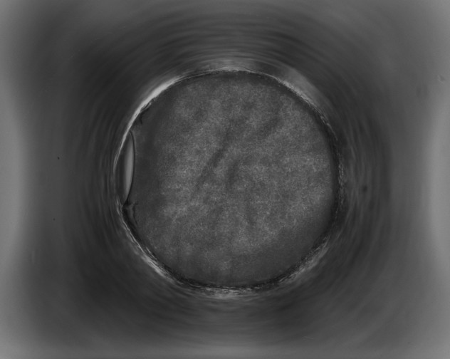 X0000083600790200703021911