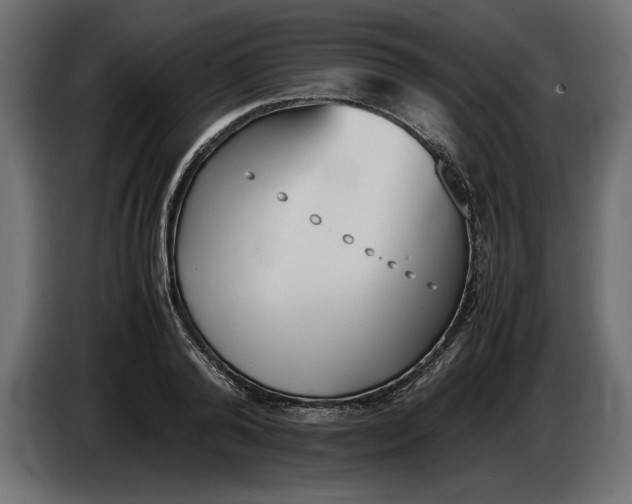 X0000083600792200703021911