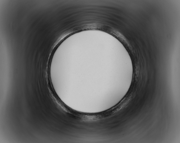 X0000083600794200703021911