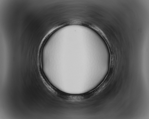 X0000083600795200703021911