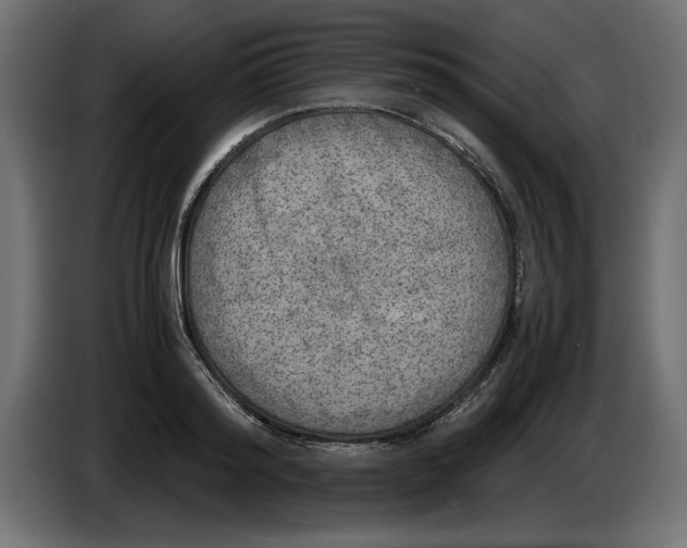 X0000083600796200703021911