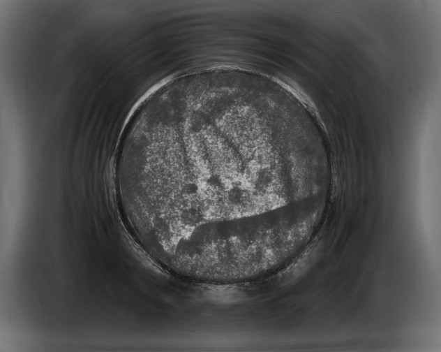 X0000083600798200703021911