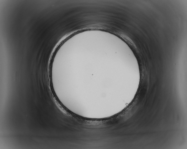 X0000083600800200703021911