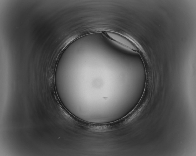 X0000083600801200703021911