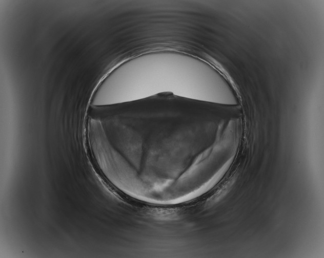 X0000083600802200703021911