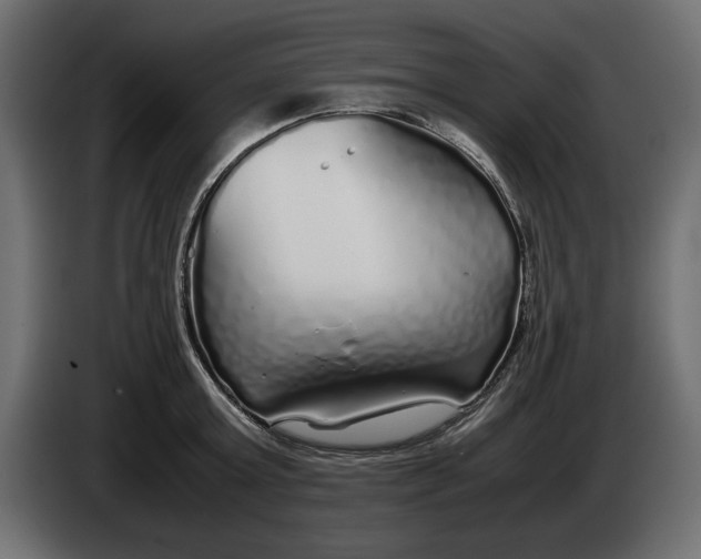 X0000083600803200703021911