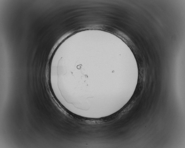 X0000083600804200703021911