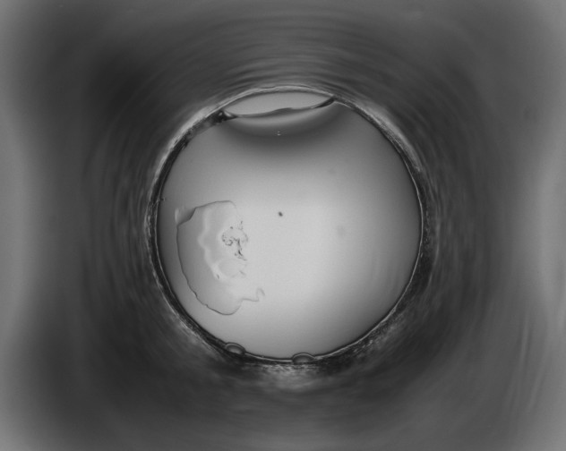 X0000083600805200703021911