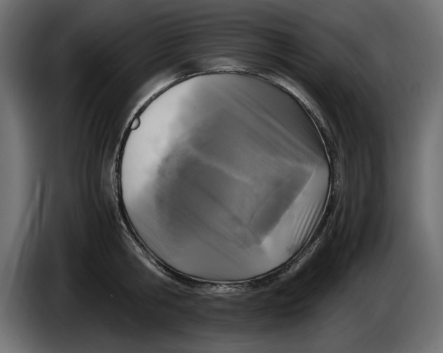 X0000083600806200703021911