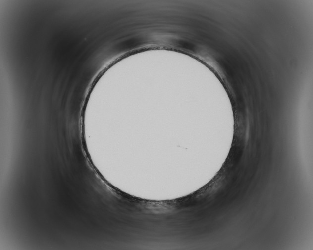 X0000083600807200703021911