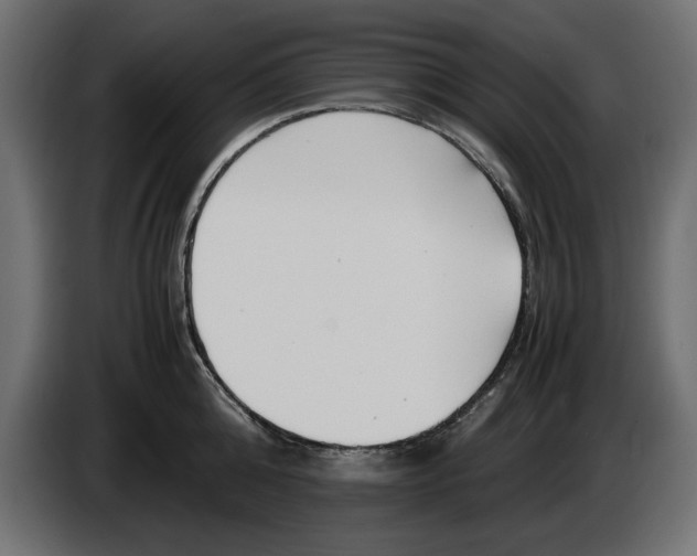 X0000083600808200703021911