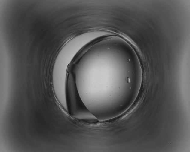 X0000083600809200703021911