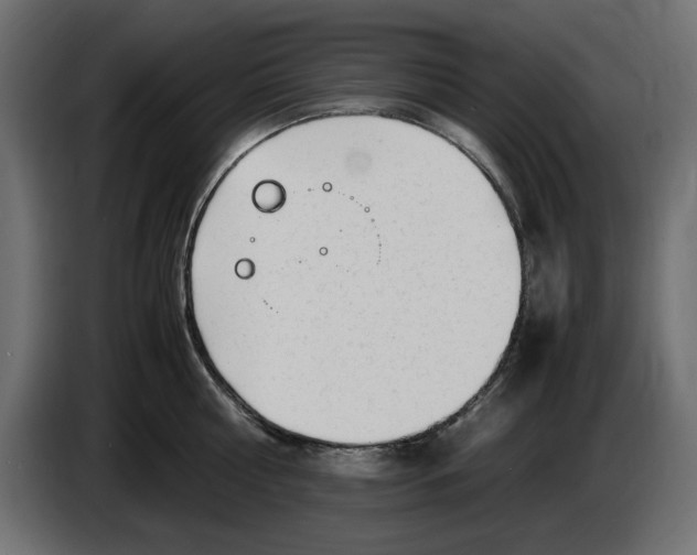 X0000083600810200703021911