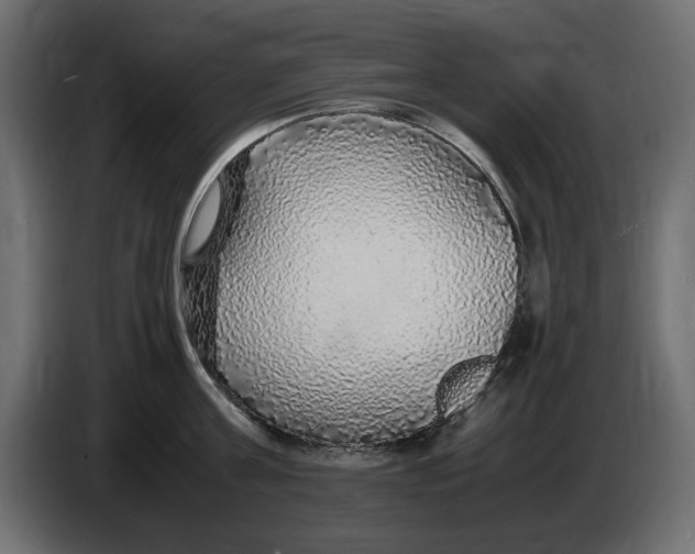 X0000083600811200703021911