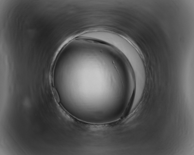 X0000083600813200703021911