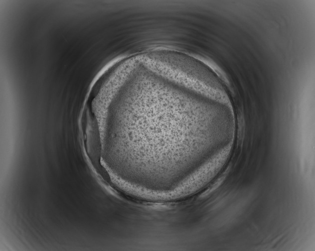 X0000083600814200703021911