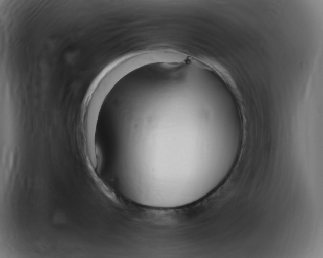 X0000083600816200703021911