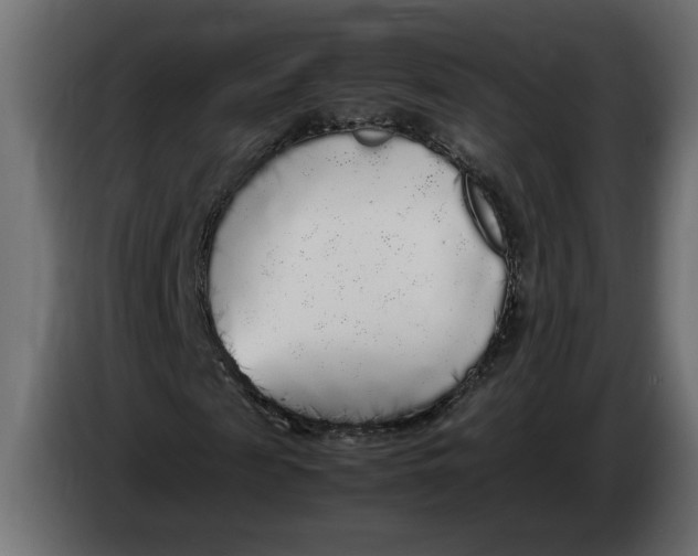 X0000083600817200703021910