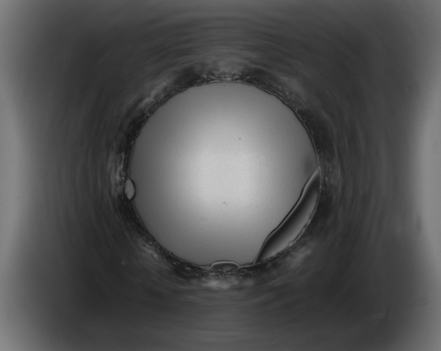 X0000083600818200703021910