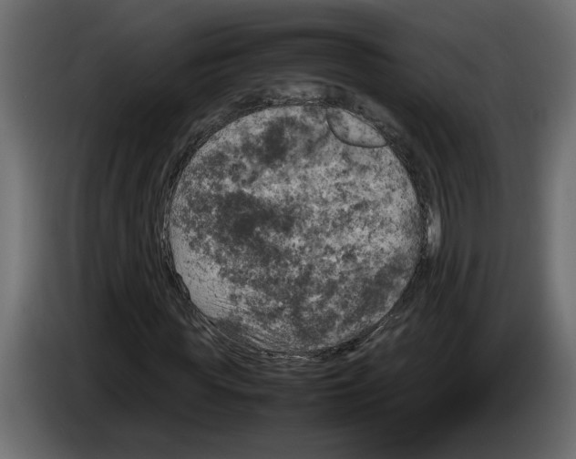 X0000083600819200703021910