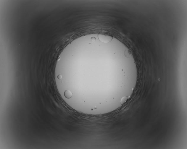 X0000083600820200703021910