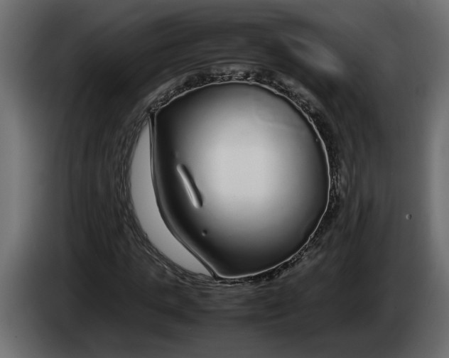 X0000083600821200703021910