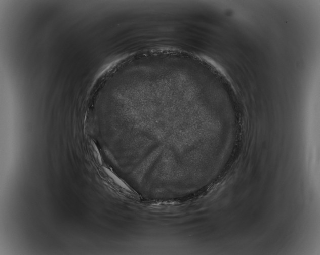 X0000083600823200703021910