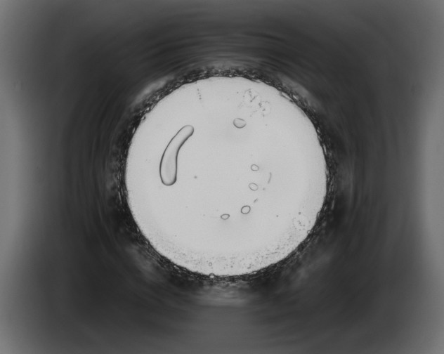 X0000083600824200703021910