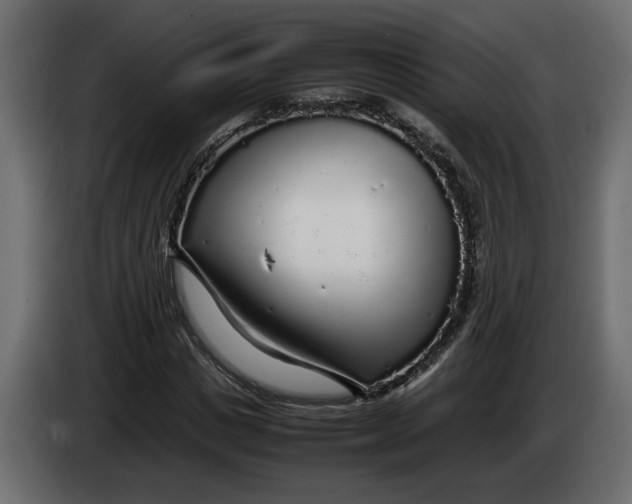 X0000083600825200703021910