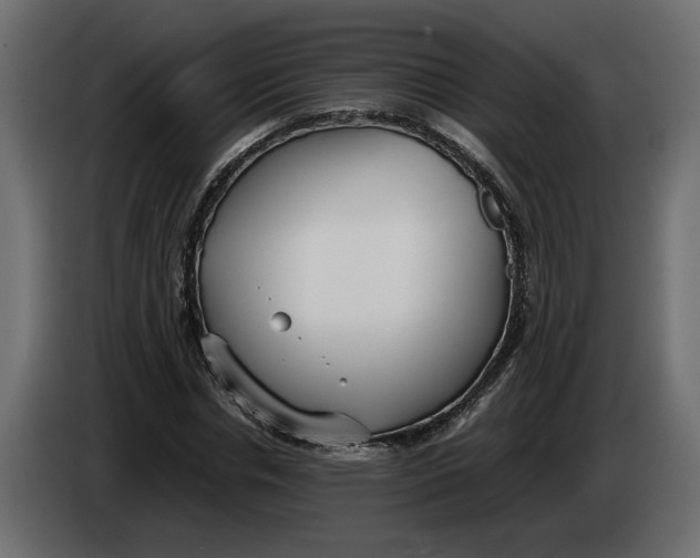 X0000083600826200703021910