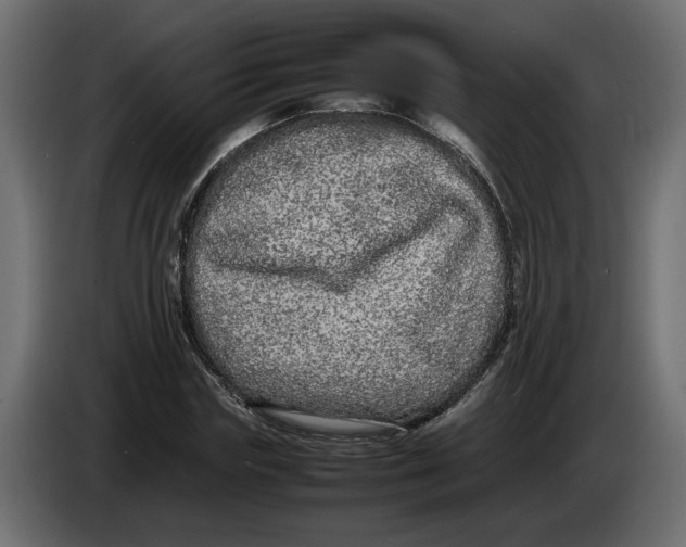 X0000083600827200703021910