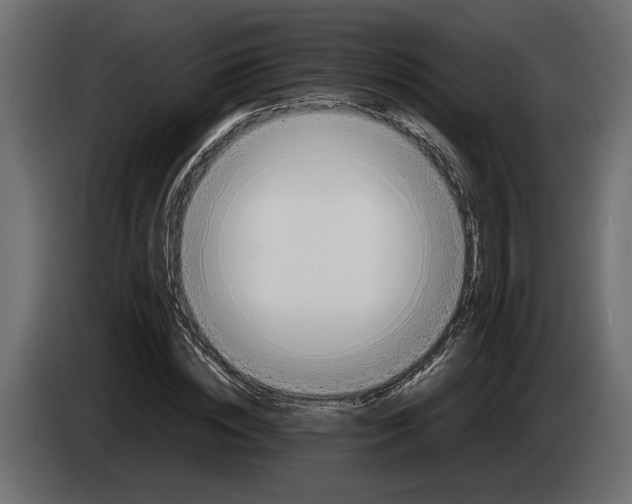 X0000083600828200703021910