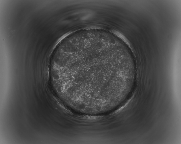 X0000083600829200703021910