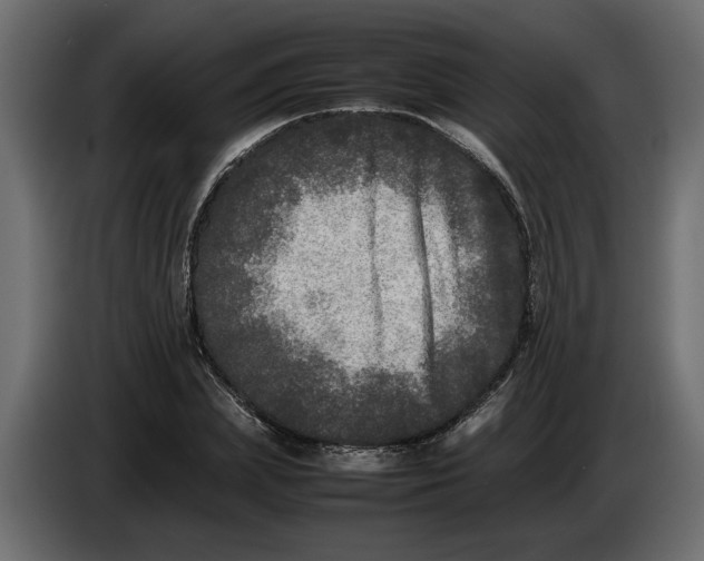 X0000083600831200703021910