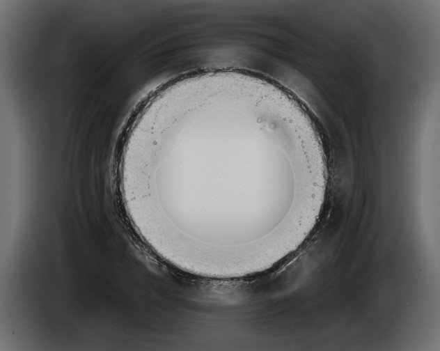 X0000083600832200703021910