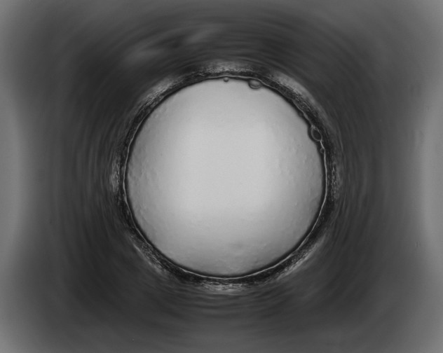 X0000083600833200703021910