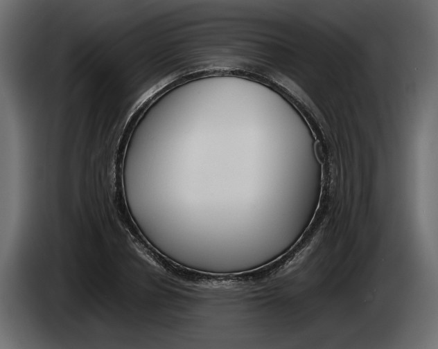 X0000083600834200703021910