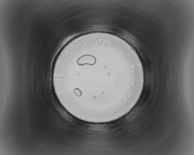 X0000083600836200703021910