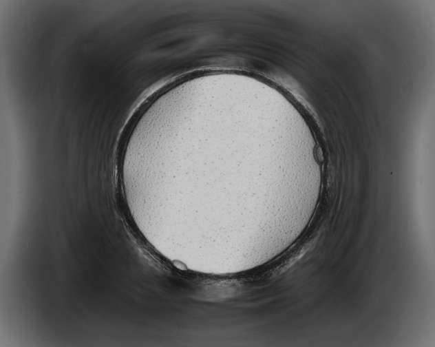 X0000083600837200703021911