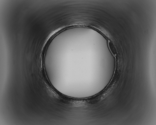 X0000083600838200703021911