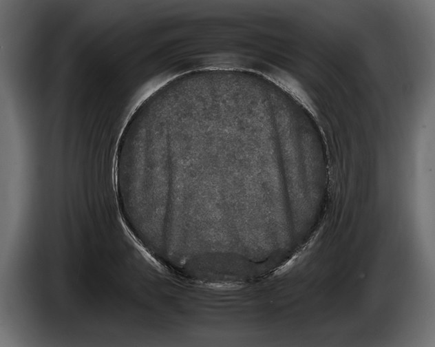 X0000083600839200703021911