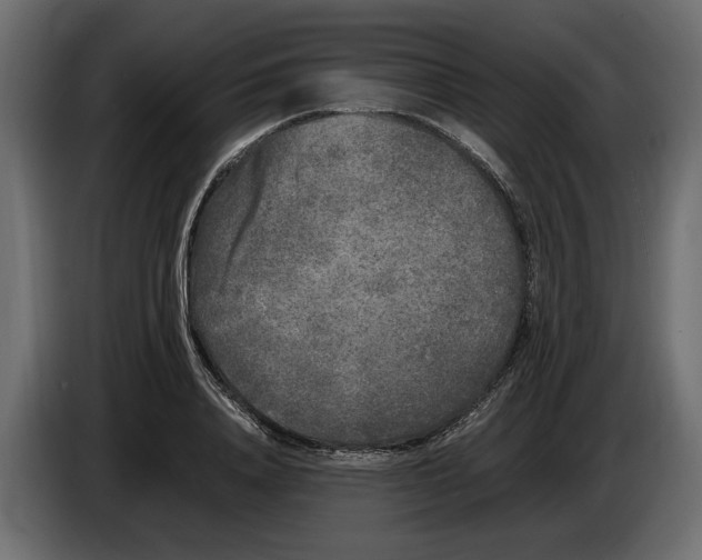 X0000083600840200703021911