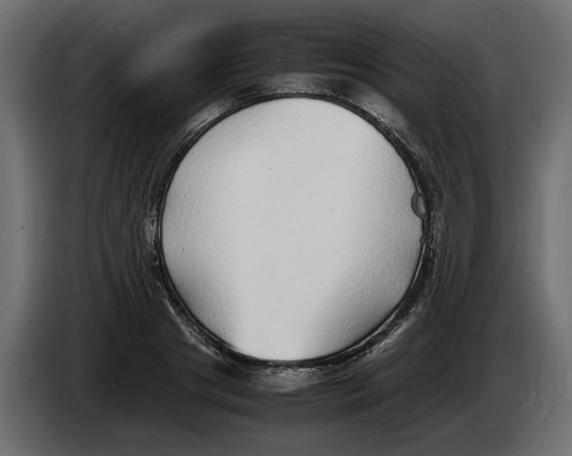 X0000083600841200703021911