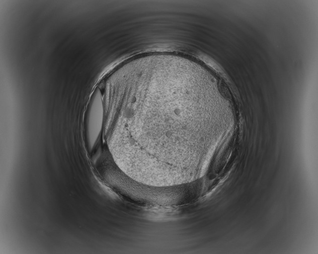 X0000083600842200703021911