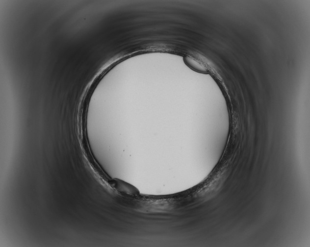 X0000083600843200703021911